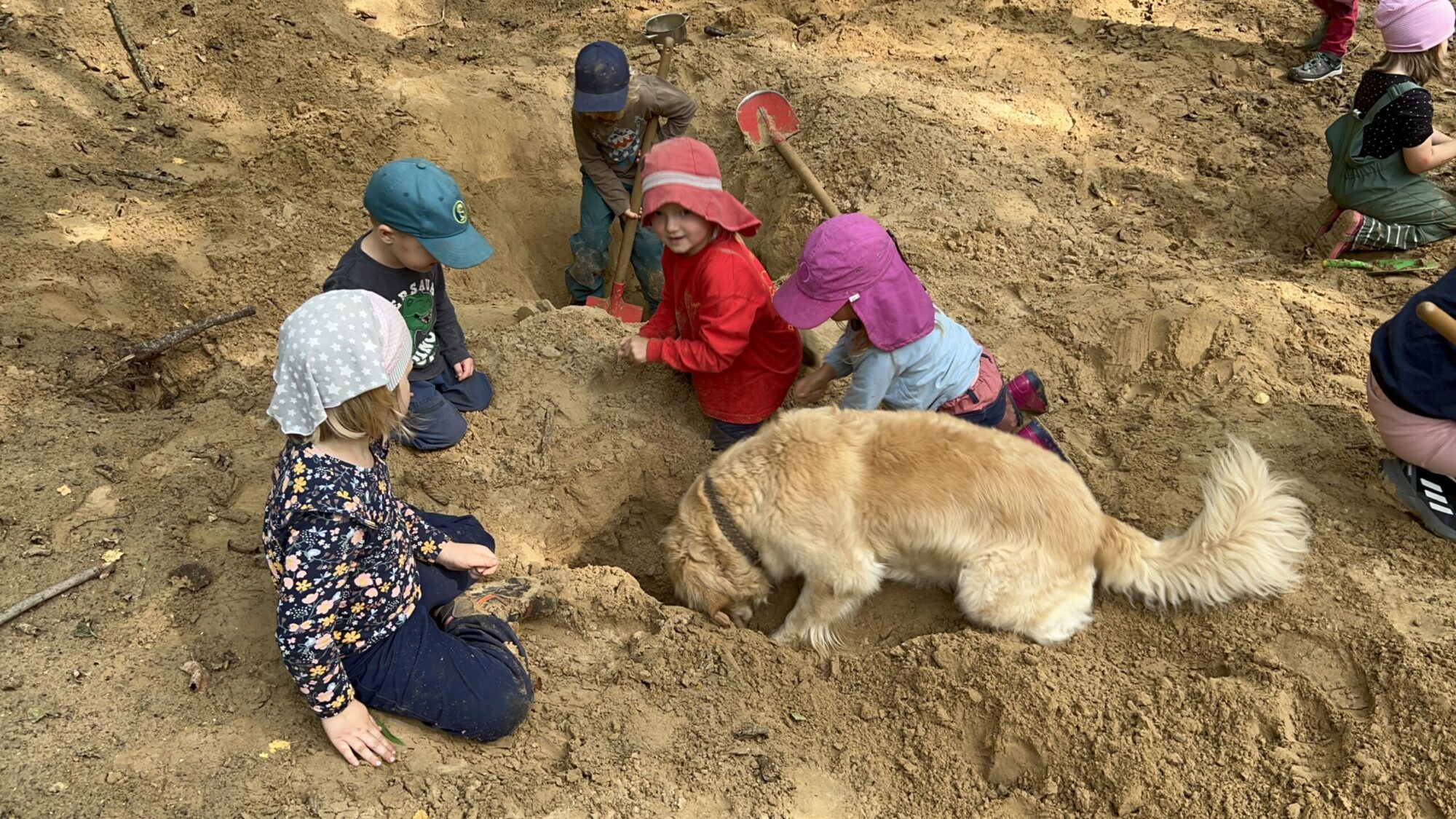 Çocuklar ve bir köpek doğada toprak kazıyorlar