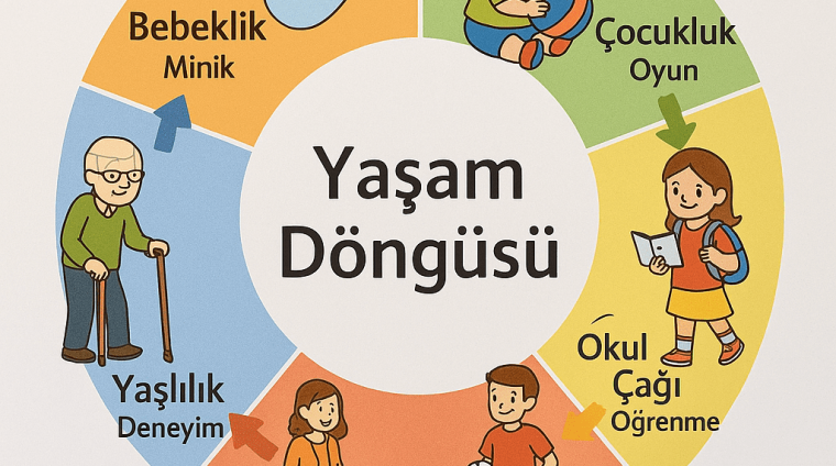 insanın hayat yolculuğu insanın hayat yolculuğu