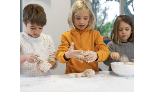 Hindistan Cevizli Bal Topları