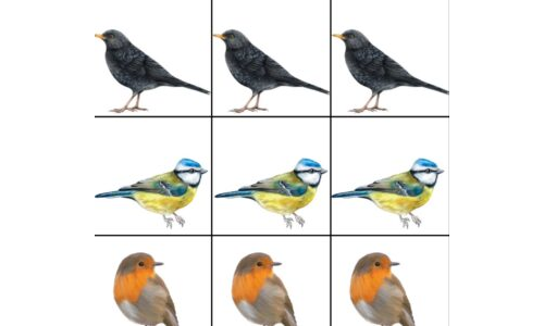 Şarkıcı Kuşlar Sudoku