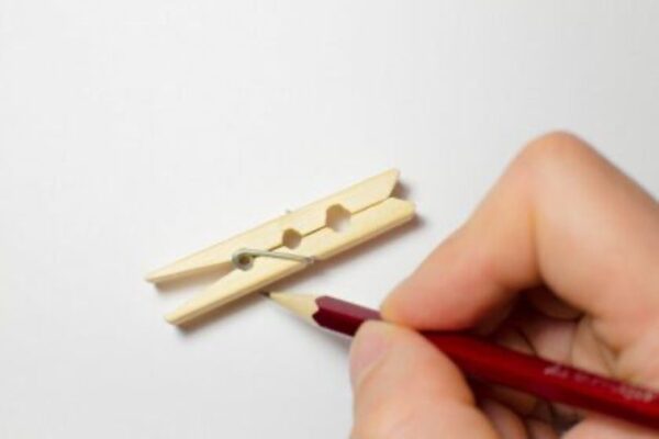 Mandal Sincaplar Ağacında