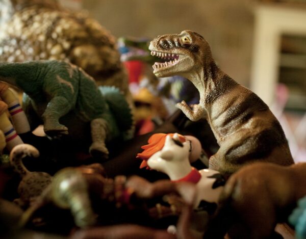 DİNO BÜFESİ HAZIRLIYORUZ