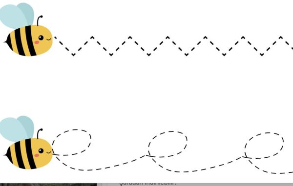 Arı Çizgi Çalışması