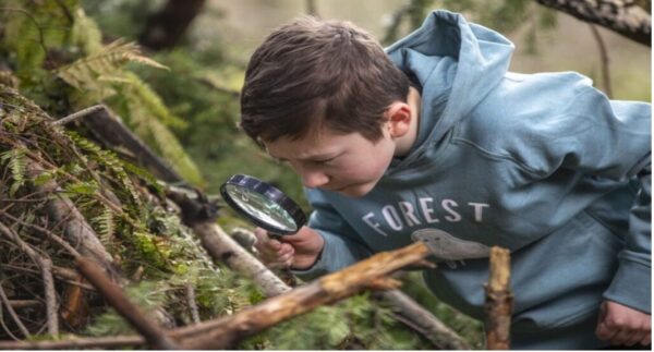 Böcekler Proje Çalışması – Doğa ve Yaşam