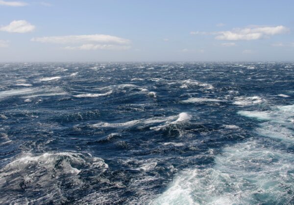 Denizde Neler Oluyor?