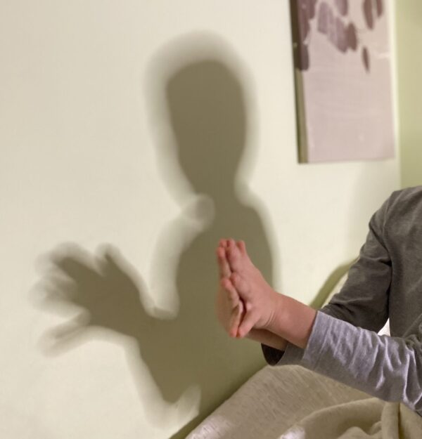 Kış Hayvanlarının Gölgesi – Işık ve Gölge Sanat Atölyesi