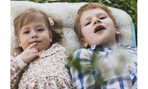 Ağaç Evin Rüyası