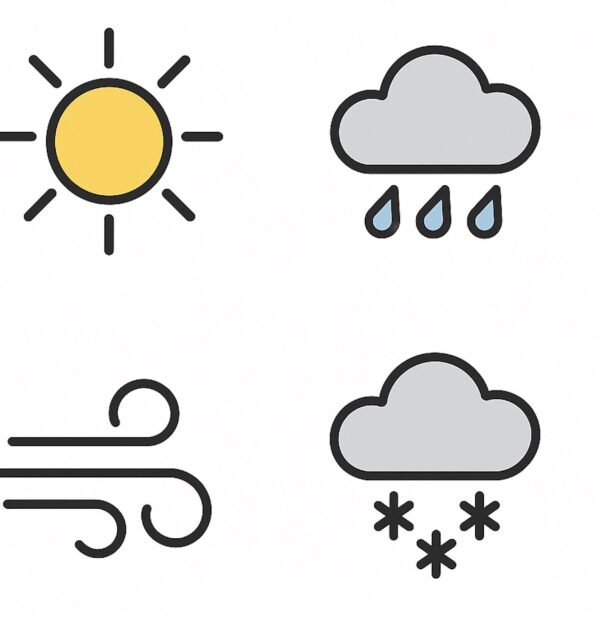 Hareketli Hava Tahmini