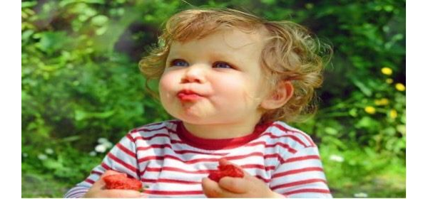 Yaz Meyvelerini Tanıyalım