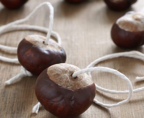 Sonbahar Şıklığı Kestane Kolye