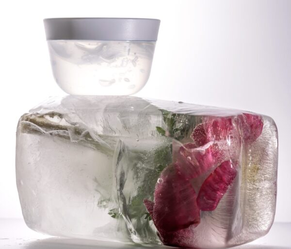 DİNO FOSİLLERİ – Buzun İçindeki Keşif