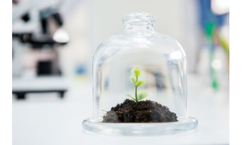 Bardakta suyun döngüsünü  canlandırma