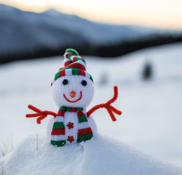 Aksiyon Tepsisi Oyunu