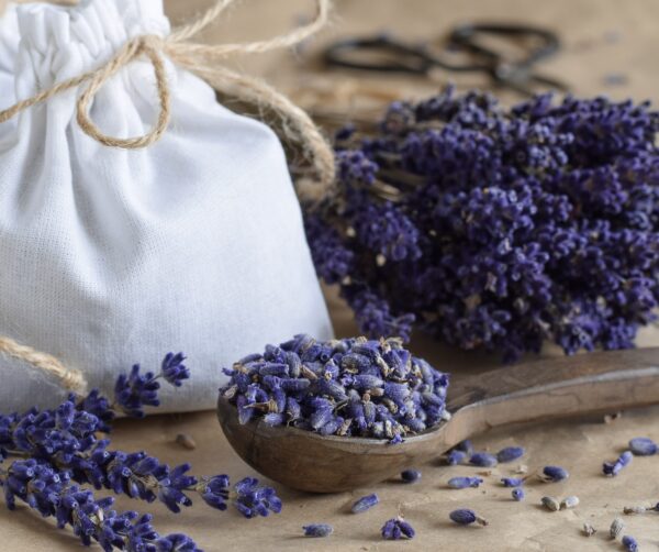 GÜVE KOVUCU LAVANTA KESESİ