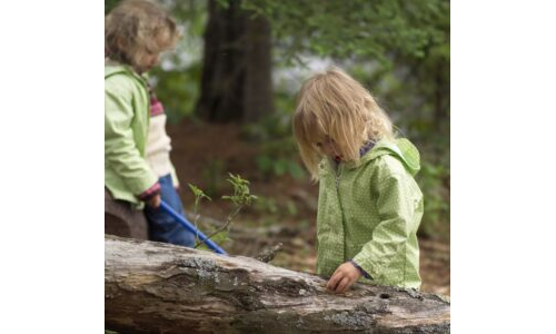 DOĞANIN KÜÇÜK KAŞİFLERİ
