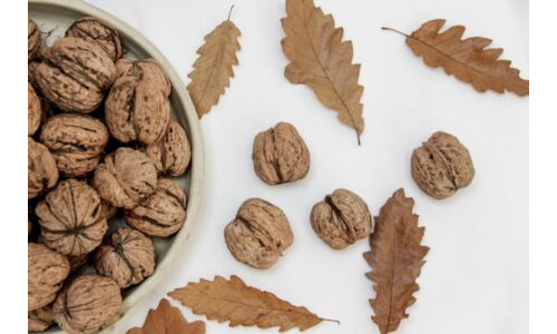 Cevizleri Sınıflandırma