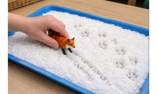 Karda Hayvan Ayak İzleri