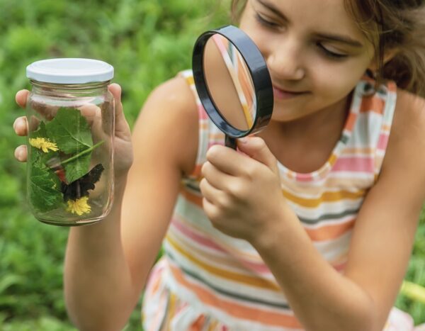 Yakından Keşfediyoruz: Böcekleri Gözlemliyorum