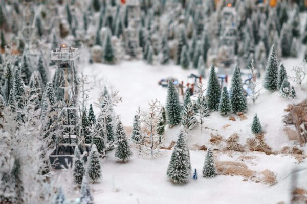 Hayvanlarla Kış Manzarası