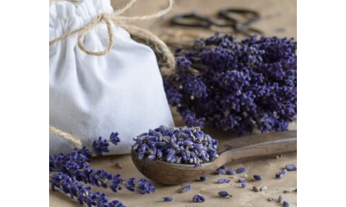 GÜVE KOVUCU LAVANTA KESESİ