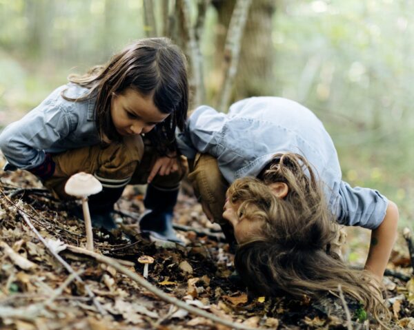 Doğadaki Dostlarımız İçin Ev Yapıyoruz
