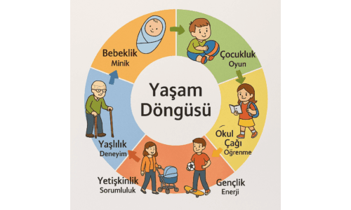 İnsanın Hayat Yolculuğu