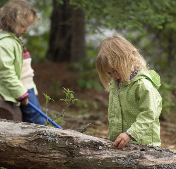 DOĞANIN KÜÇÜK KAŞİFLERİ