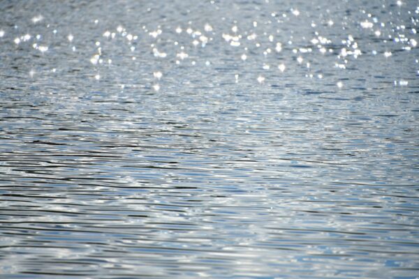 Geçmişten Geleceğe Suyun Önemi