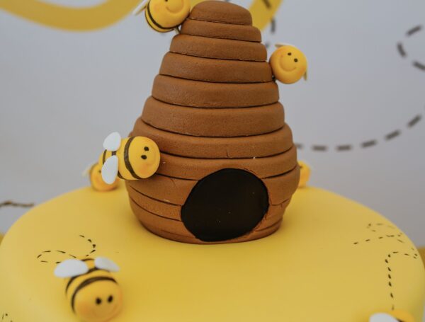 Arılar Projesi- Öğretmen için Bilgiler ve Konuya Giriş