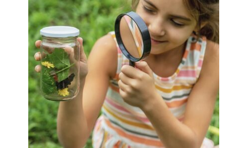 Yakından Keşfediyoruz: Böcekleri Gözlemliyorum