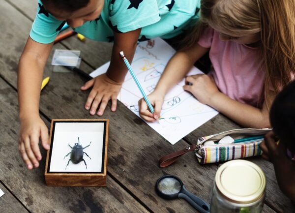 Böcek Araştırmacıları