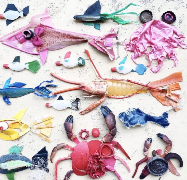 Hareketli Deniz Canlıları Oyunu