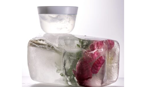 DİNO FOSİLLERİ – Buzun İçindeki Keşif