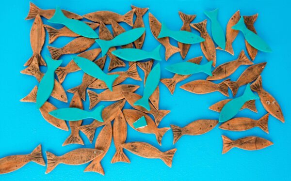 Balık Sayma 1-10 Arası