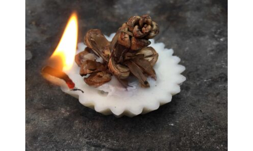 Çam kozalağından çakmak yapımı