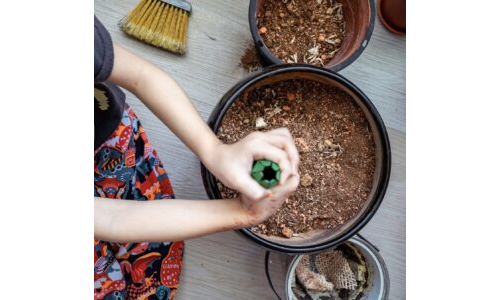 Doğal Geri Dönüşüm (Kompostlama)