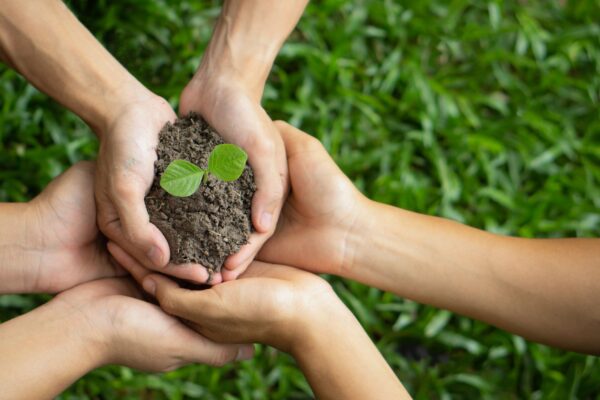 Ekolojik okulda elektrik tasarrufu