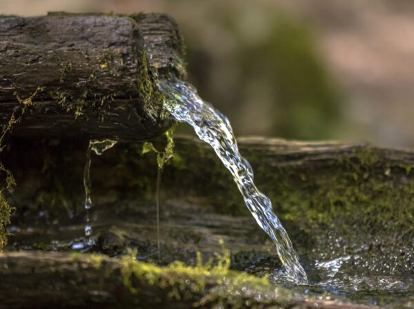 Yaşam Kaynağı Su