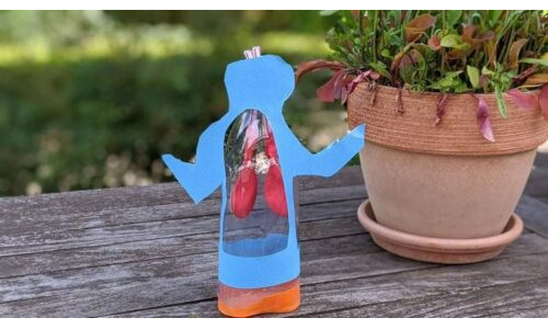 Akciğerimiz nasıl çalışır?