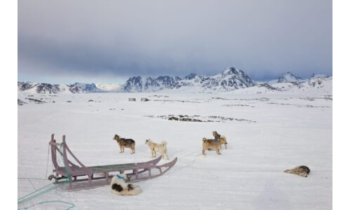 Eskimolarla Kızak Serüveni