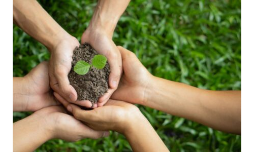 Ekolojik okulda elektrik tasarrufu