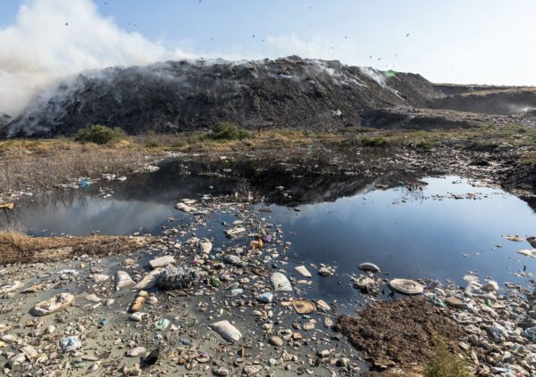 Çevre Dostu Okul, Çevre Dostu Çocuklar ve Sürdürülebilirlik Projesi