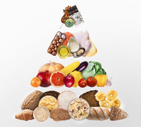 Besin Piramidini Keşfet