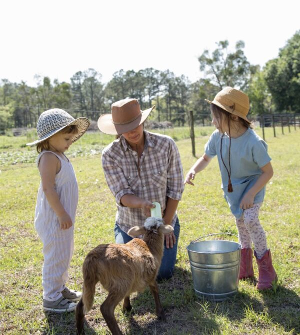 Çiftçi Kahvaltısı – Tarladan Sofraya