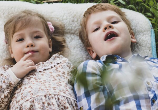 Ağaç Evin Rüyası