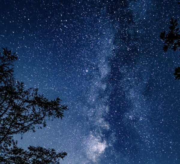 Yıldızlı Gökyüzünü Keşfediyoruz