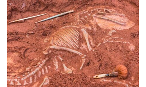 Küçük Arkeologlar Kazı Çalışmasında