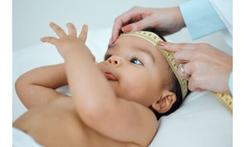 Benim başım ne kadar büyük? Senin başın ne kadar büyük