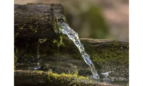 Yaşam Kaynağı Su