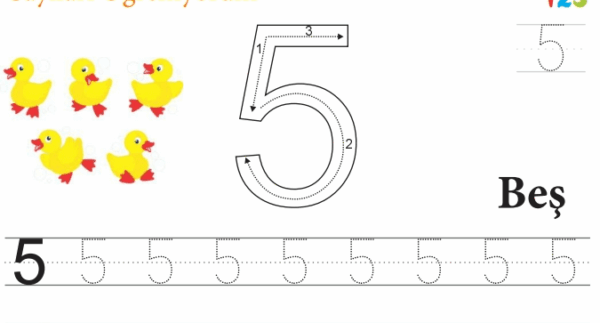 5 Sayısını Çiziyorum